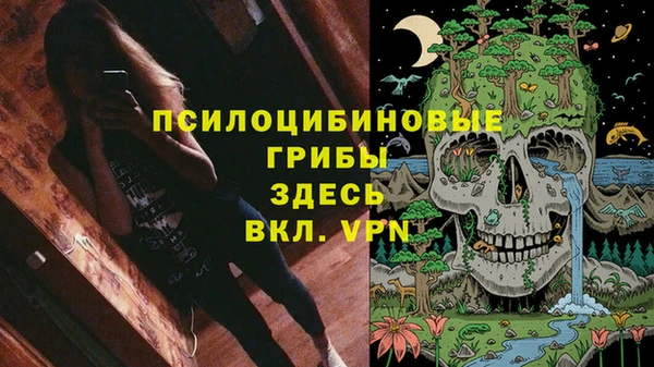 крисы Грязи