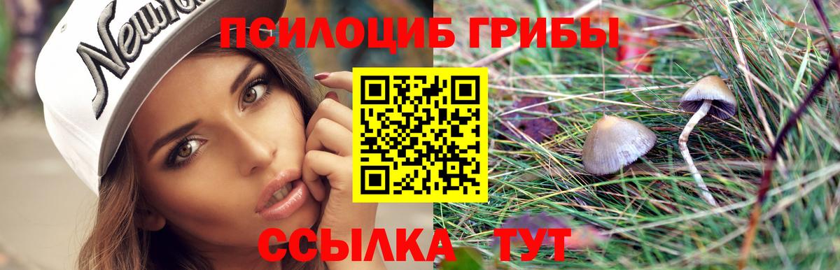 купить   Псилоцибиновые грибы Psilocybe  Чернушка  Вход с VPN  Псилоцибиновые грибы GOLDEN TEACHER 